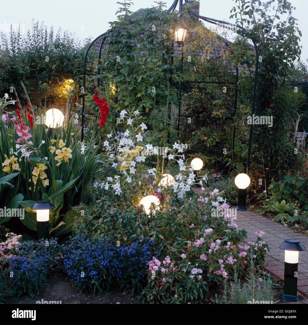 Floodlighting - garden and pergola   FLO064446 Stock Photo