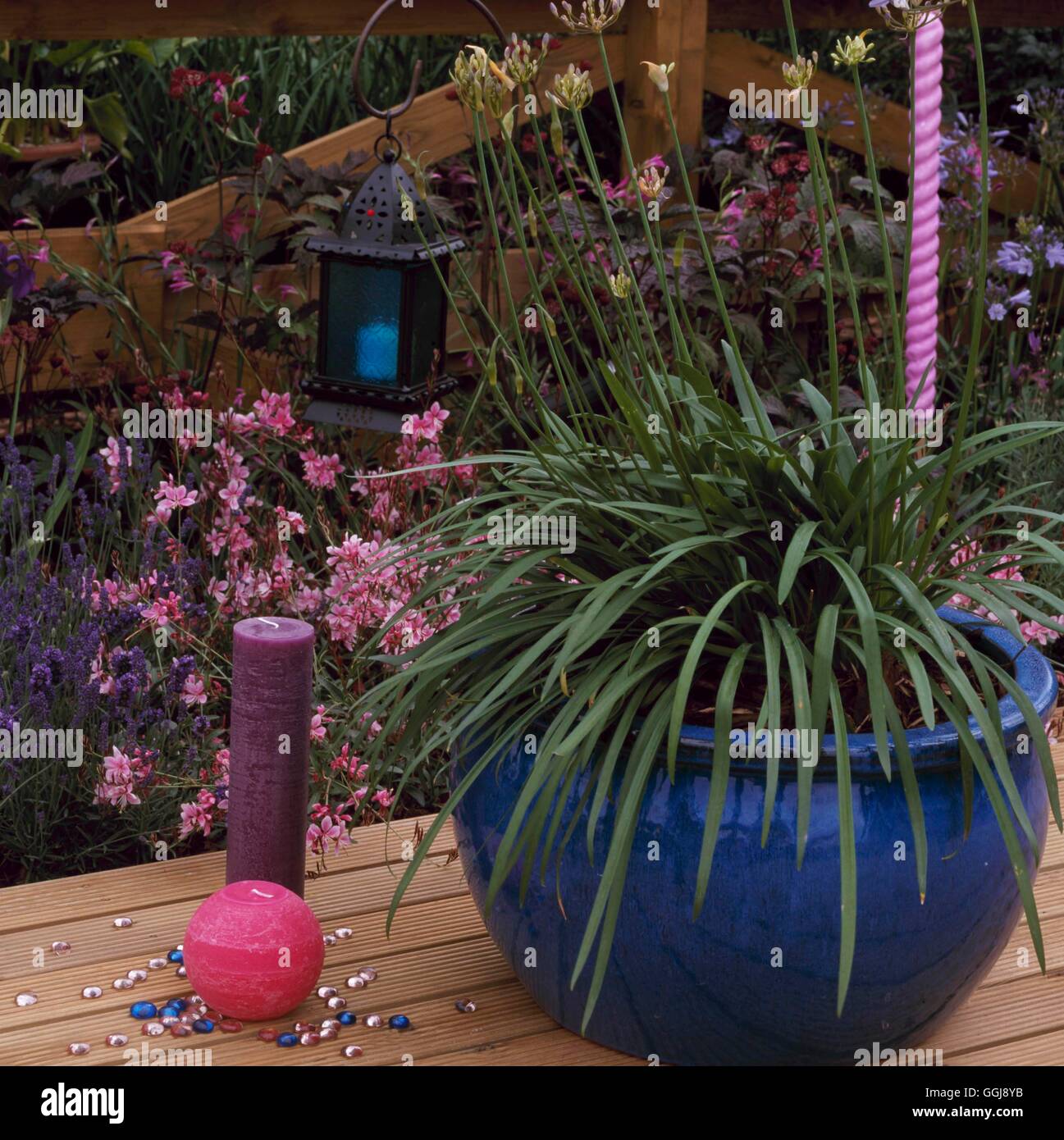 Floodlighting - Candles in the garden   FLO096912 Stock Photo