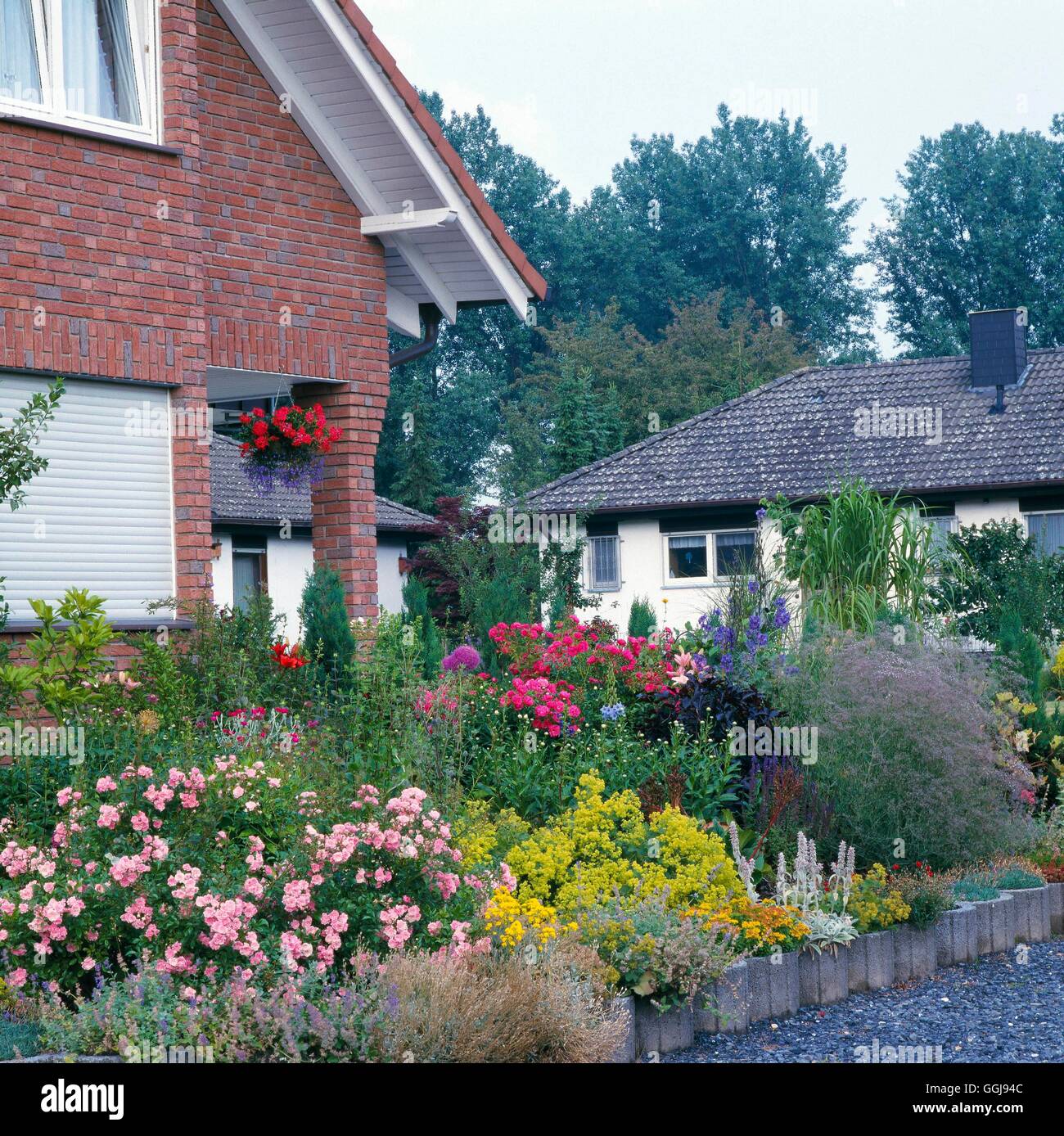 Front Garden   FRO084372 Stock Photo