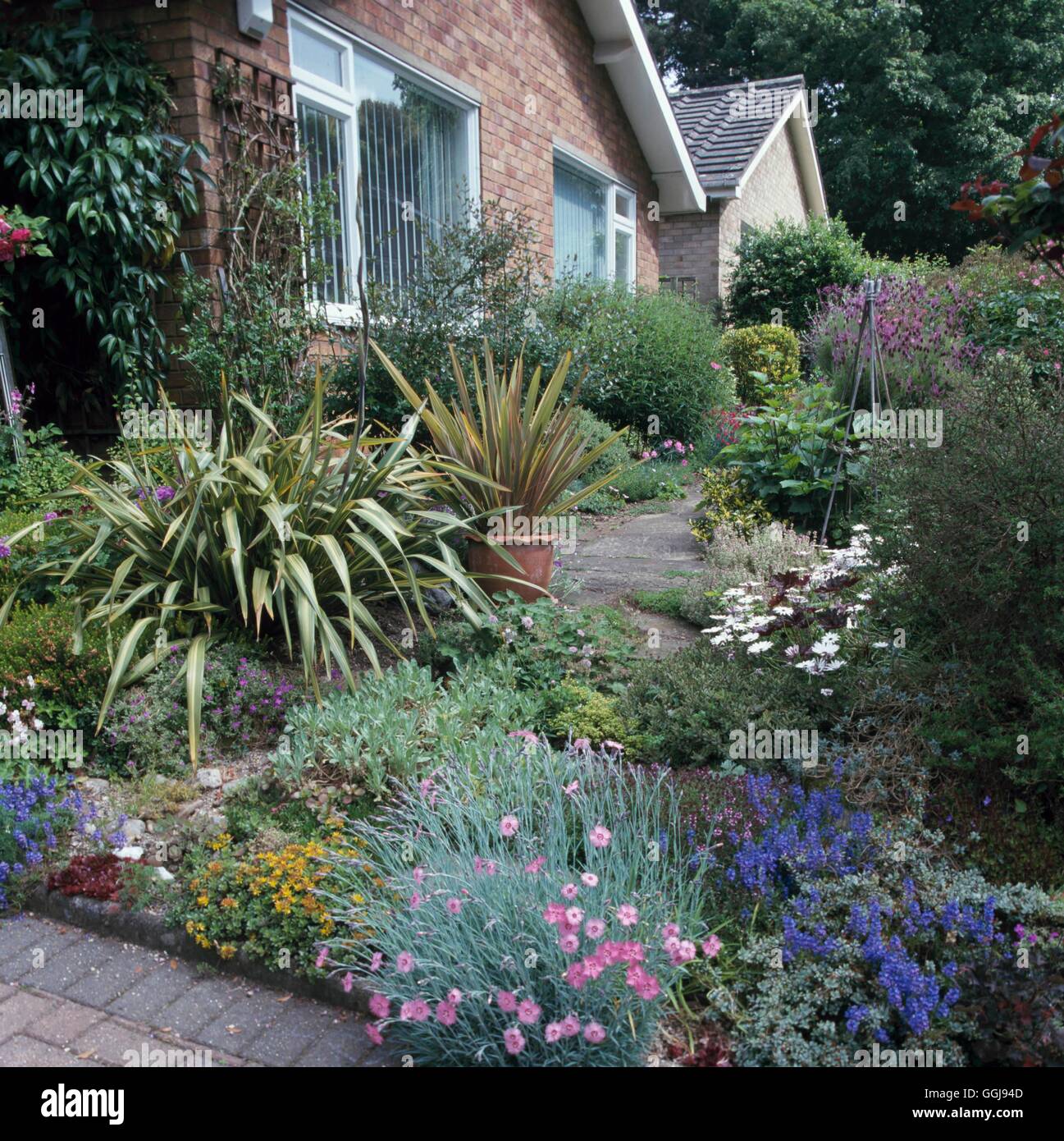 Front Garden   FRO088790 Stock Photo