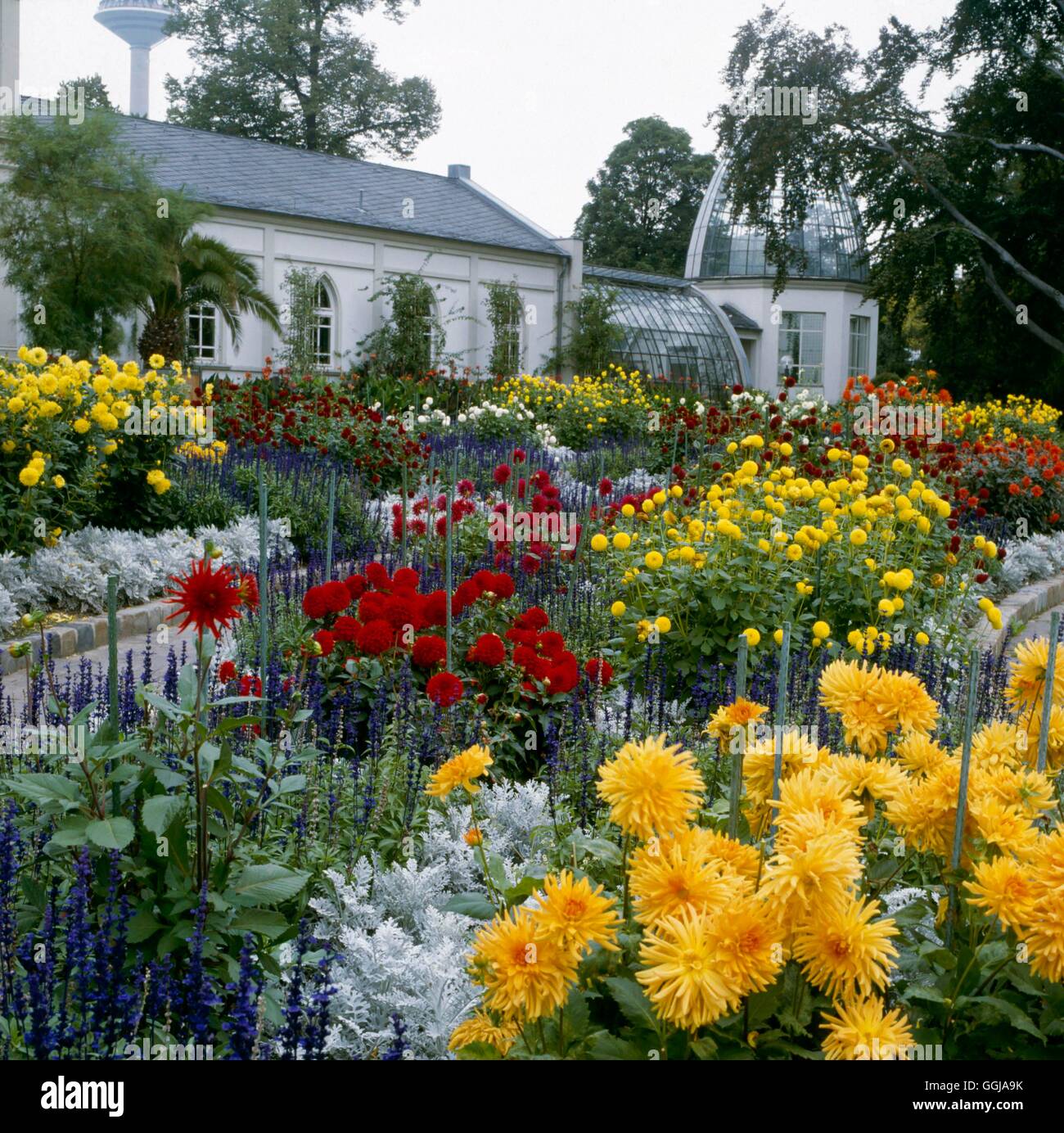 Palmengarten Frankfurt Germany Please Credit Photos Stock