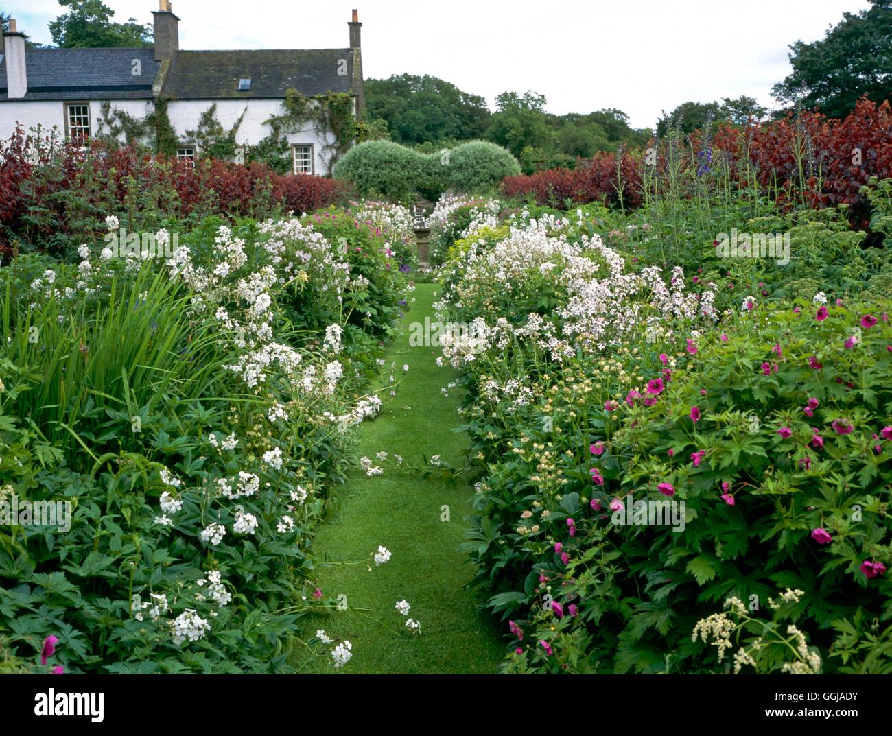 Herbaceous borders hi-res stock photography and images - Alamy