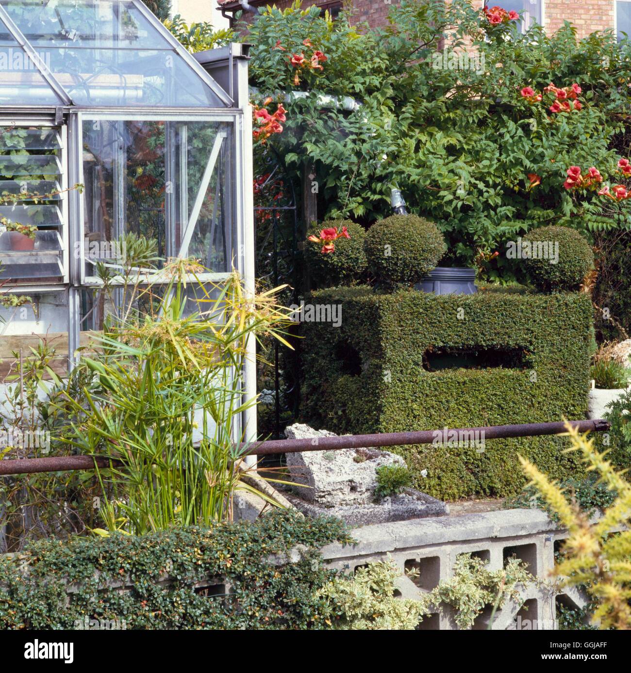 Greenhouse and Garden   GHG025156 Stock Photo