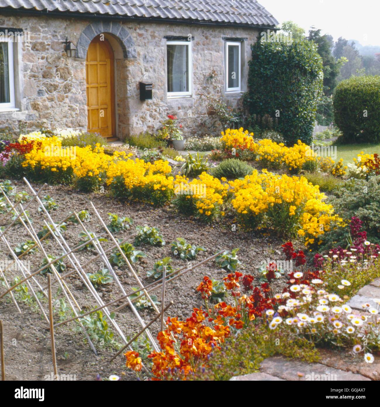 House and Garden - planted with flowers and strawberries.   HAG021071  /Photo Stock Photo