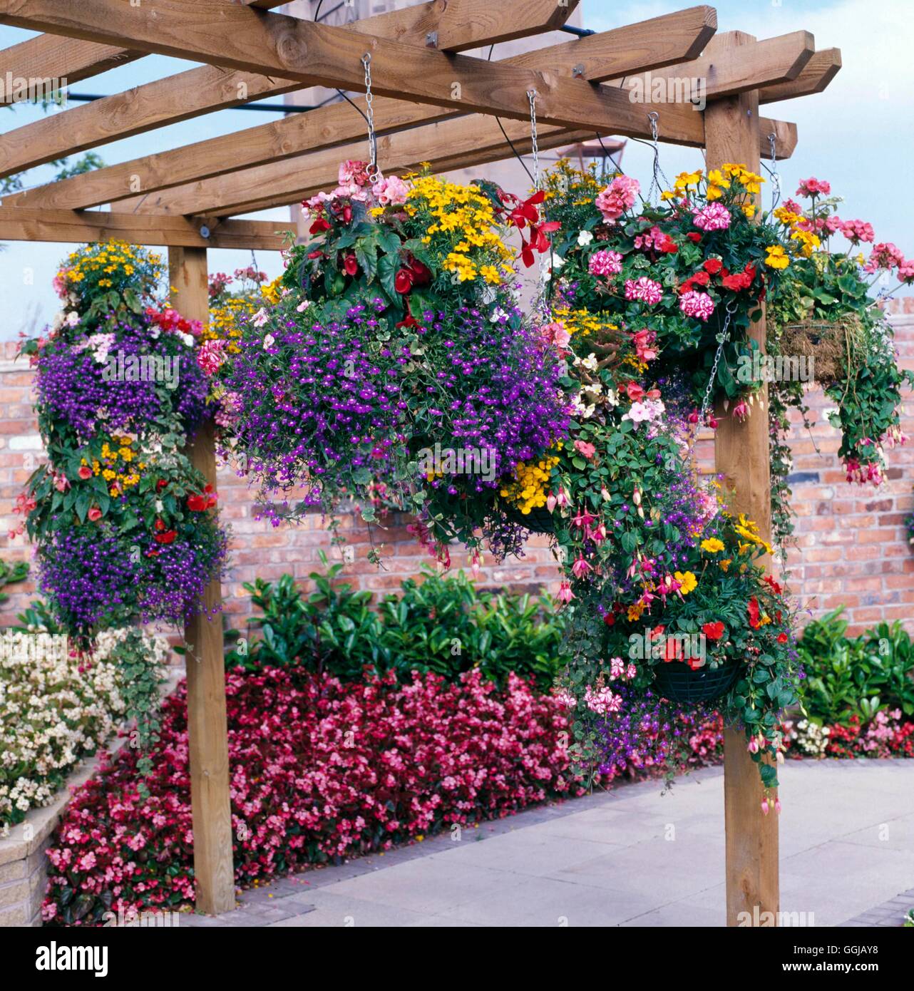 Hangingbaskets Annuals Summer Bedding Car Port Pergola Carport