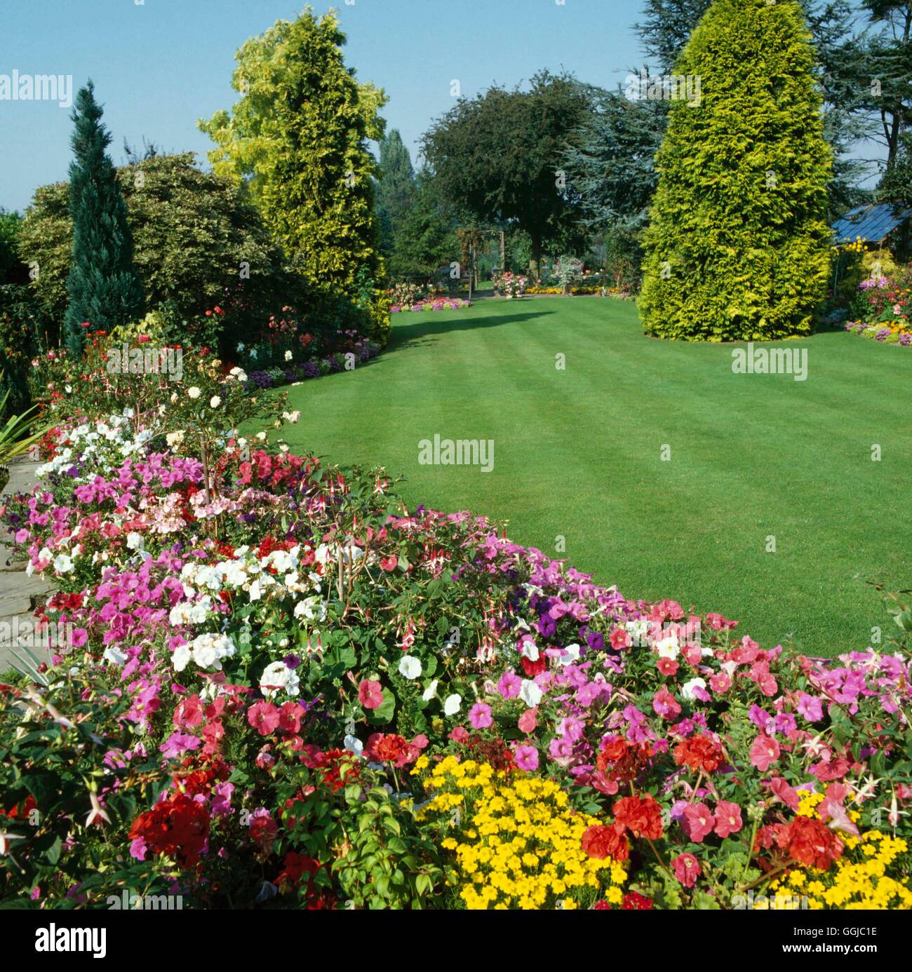 Lawn   LAW000106 Stock Photo