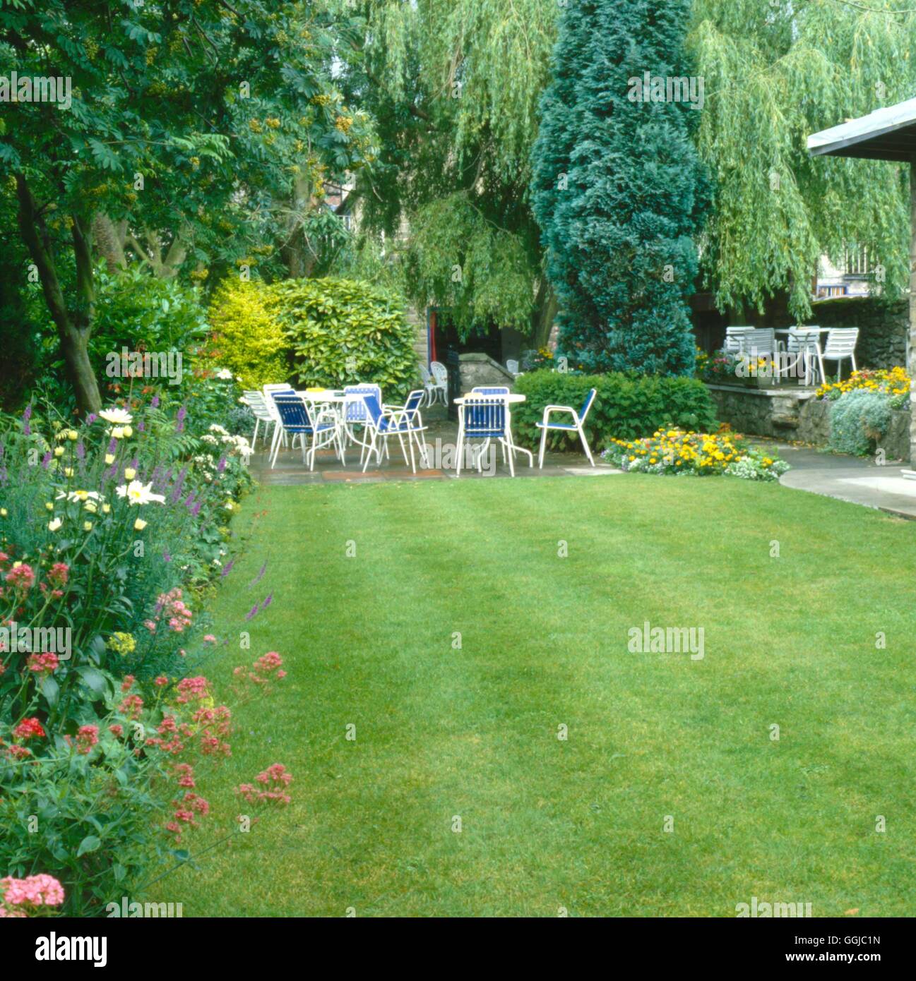 Trees and grass hi-res stock photography and images - Alamy