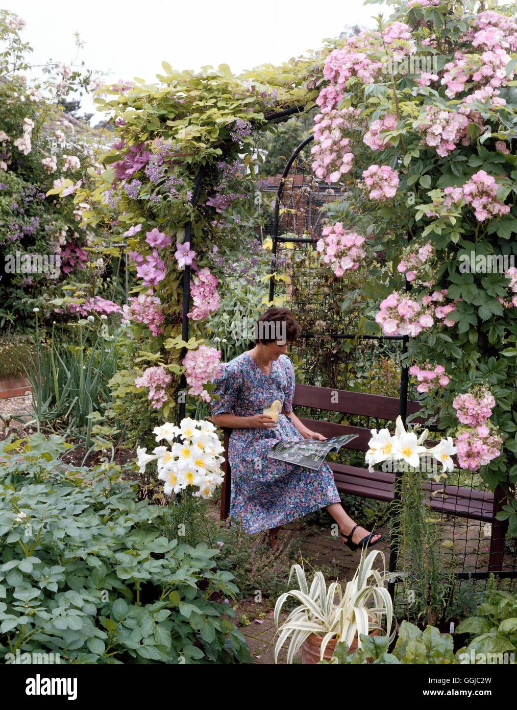 Leisure Garden   LEG069989 Stock Photo