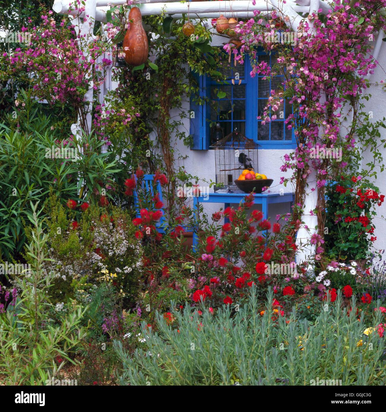 Mediterranean Style Garden - A recreation of Gerald Durall's Holiday Paradise in Corfu. (Please credit: Photos Horticultural/ de Stock Photo
