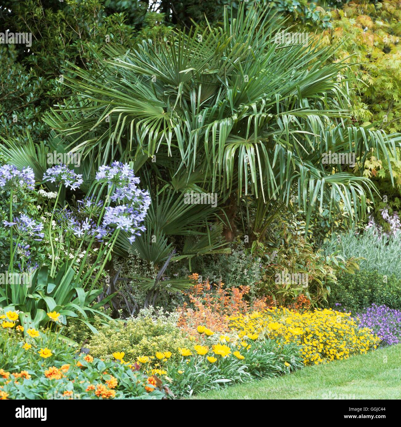 Mediterranean Style Garden - (Please credit: Photos Hort/ designer David Domoney)   MED108935     Ph Stock Photo