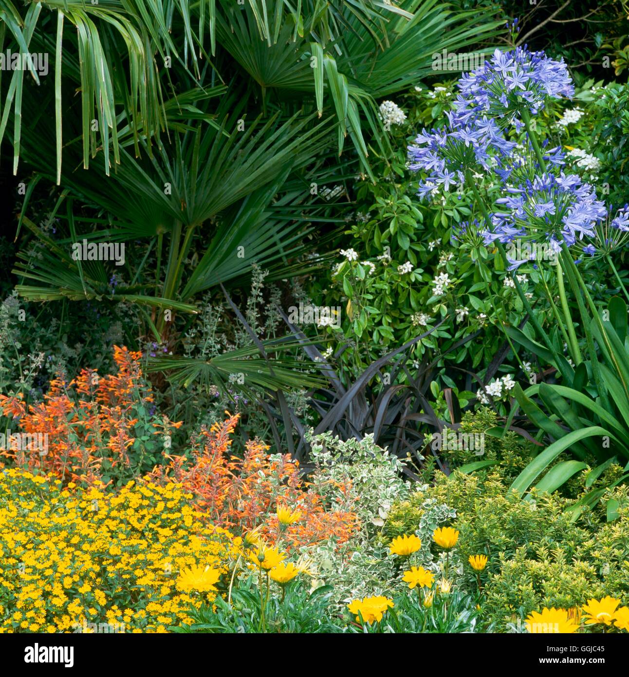 Mediterranean Style Garden - (Please credit: Photos Hort/designer David Domoney)   MED108936     Pho Stock Photo