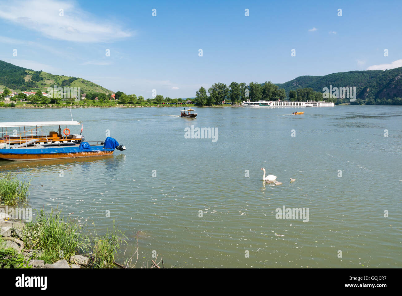 Swans and boats on Danube river in Durnstein, Wachau valley, Lower Austria Stock Photo