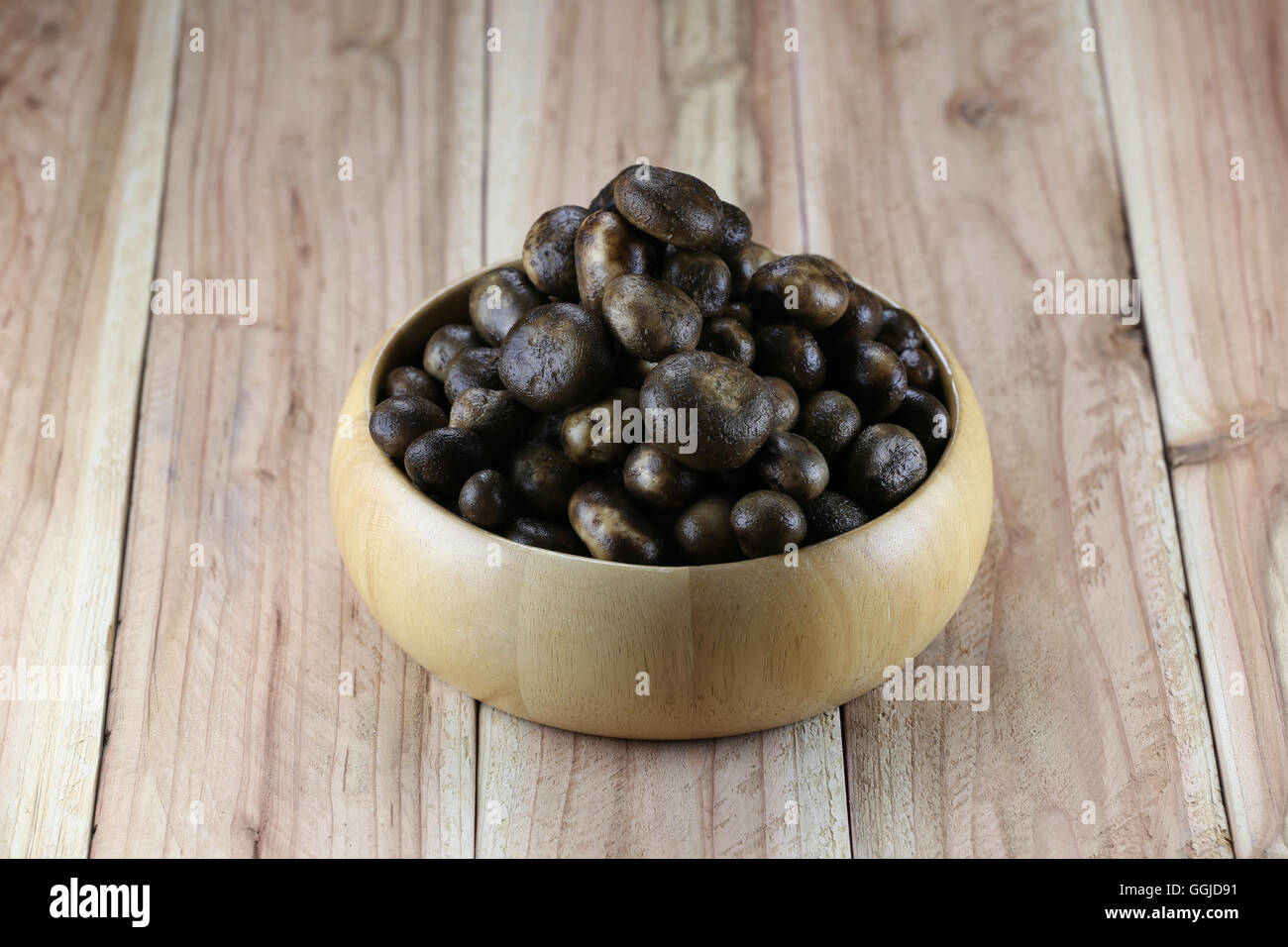 Barometer Earthstars or hygroscopic earthstar of mushroom Vegetable,In