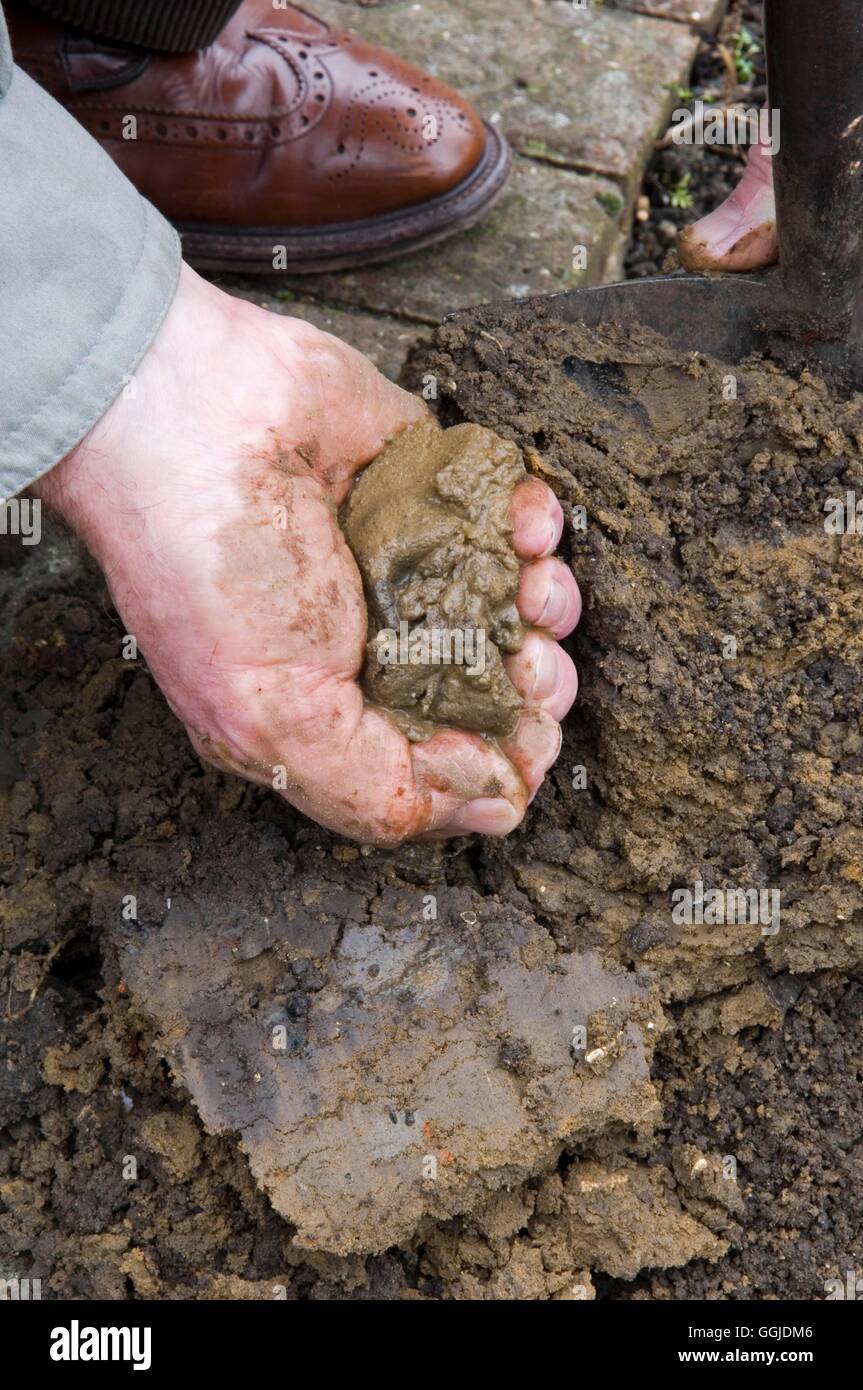 Soil Types - Clay   MIW250917 Stock Photo