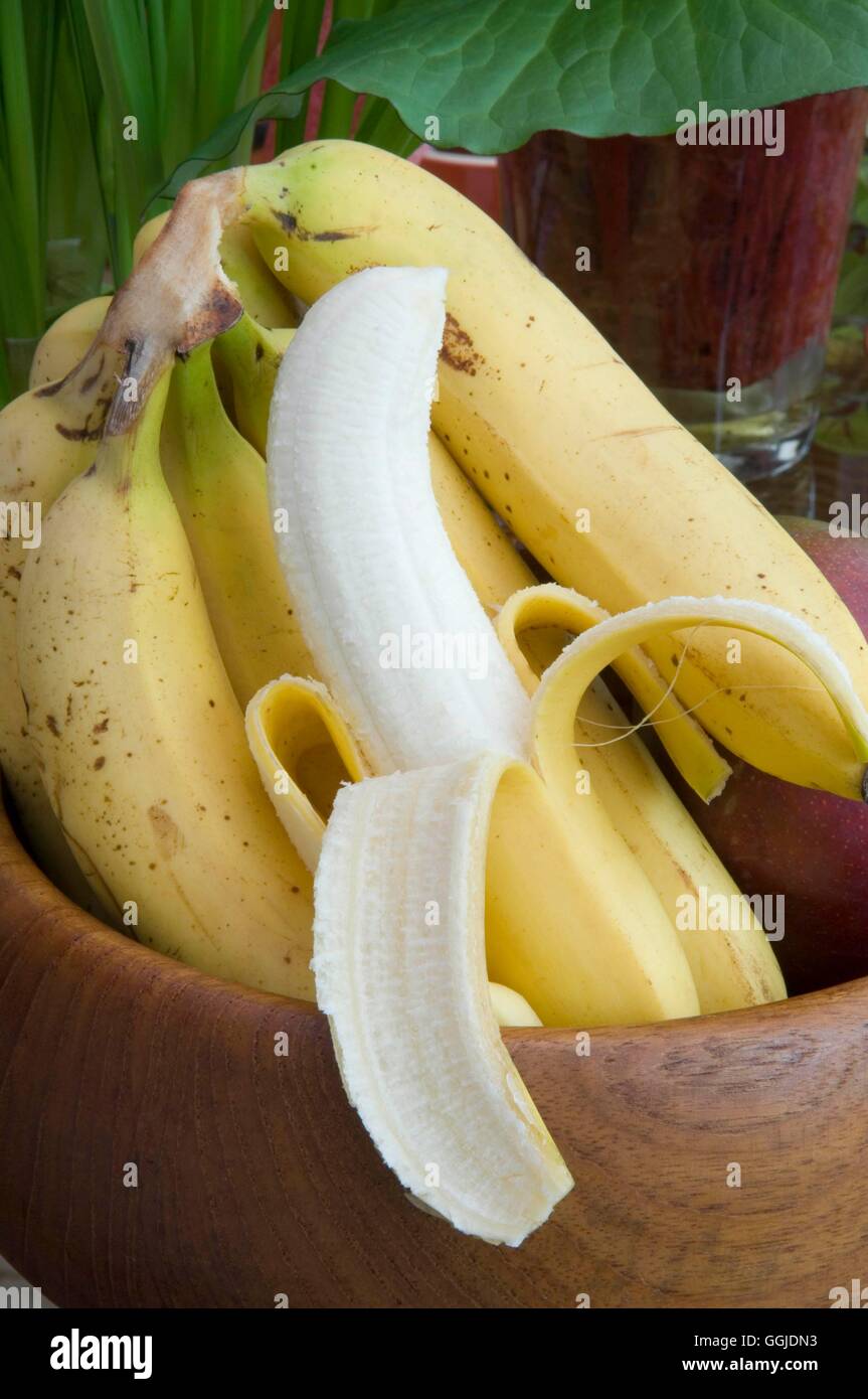 Banana - (Musa sp.)   MIW250939 Stock Photo