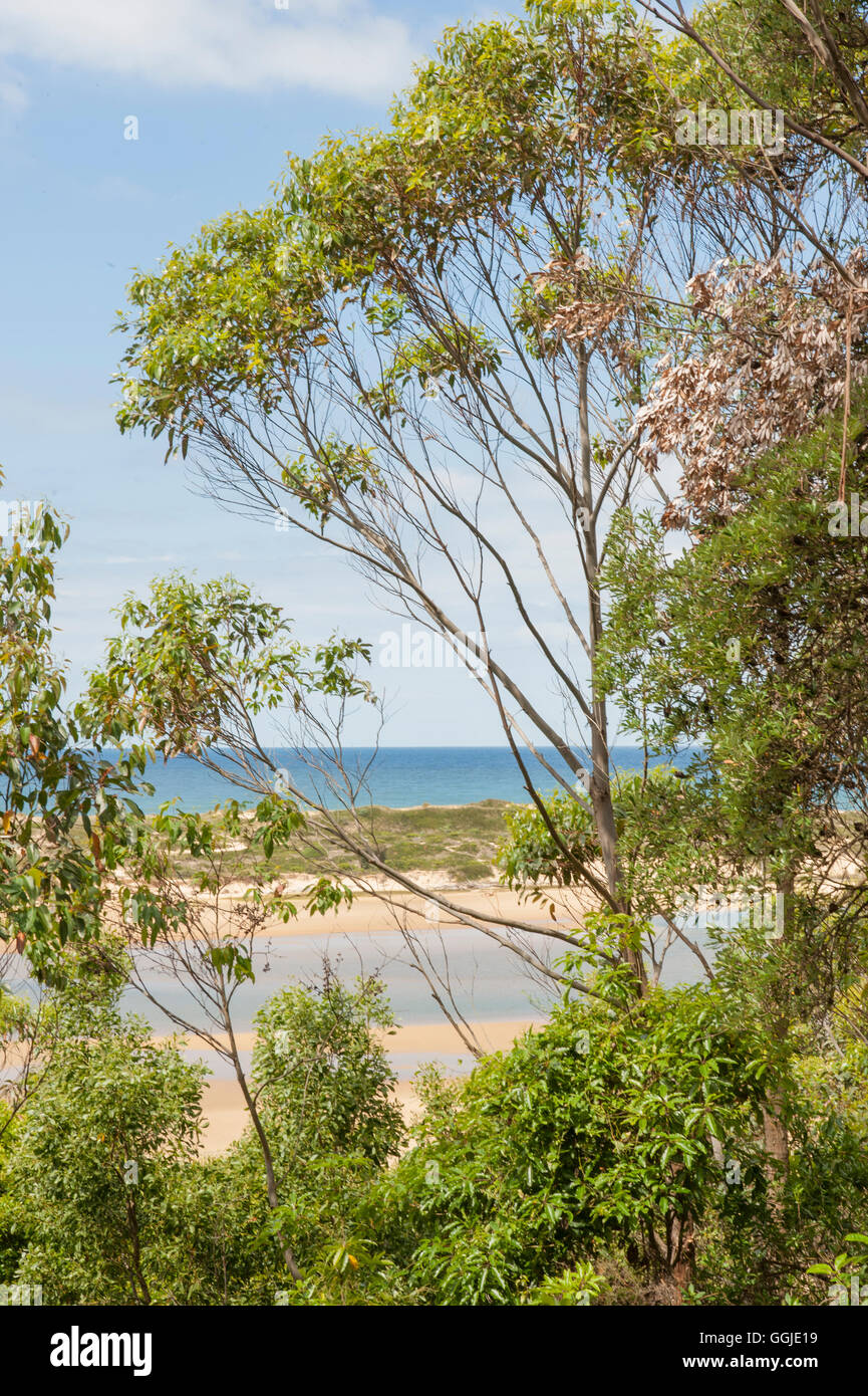 River estuary meets ocean hi-res stock photography and images - Alamy