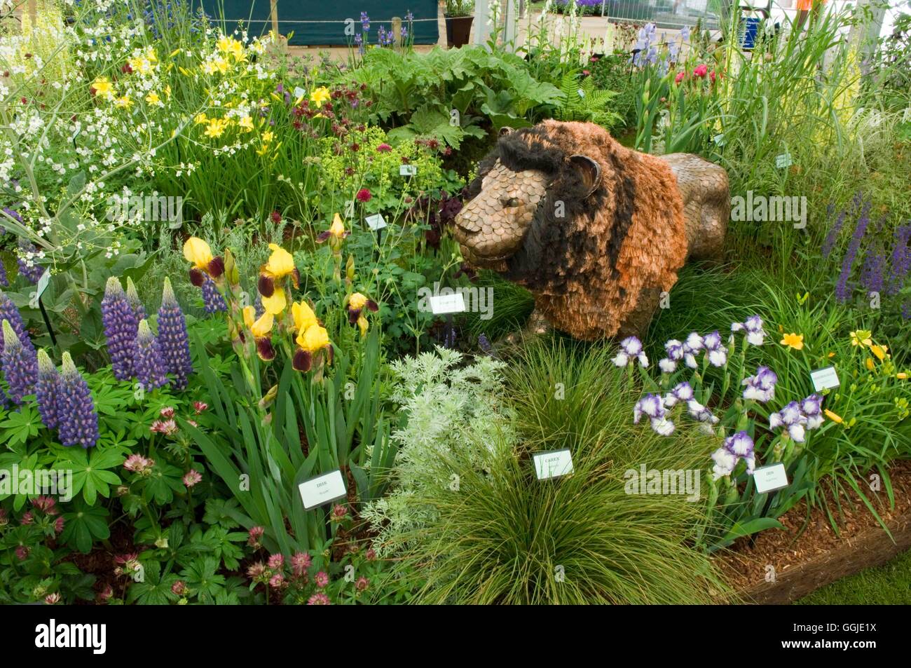 Chelsea Flower Show 2006- - Howard Nurseries Ltd. Lion constructed from 1966 pennies.- - Gold Medal Award   MIW251130 Stock Photo