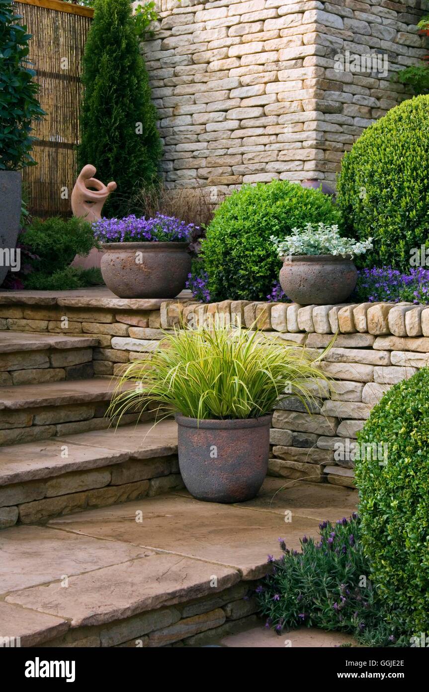 Wall- and steps with containers and evergreens- - (Please credit: Photos Hort/Pavestone UK Ltd/designer Geoff Whiten)   Ref: PHS Stock Photo