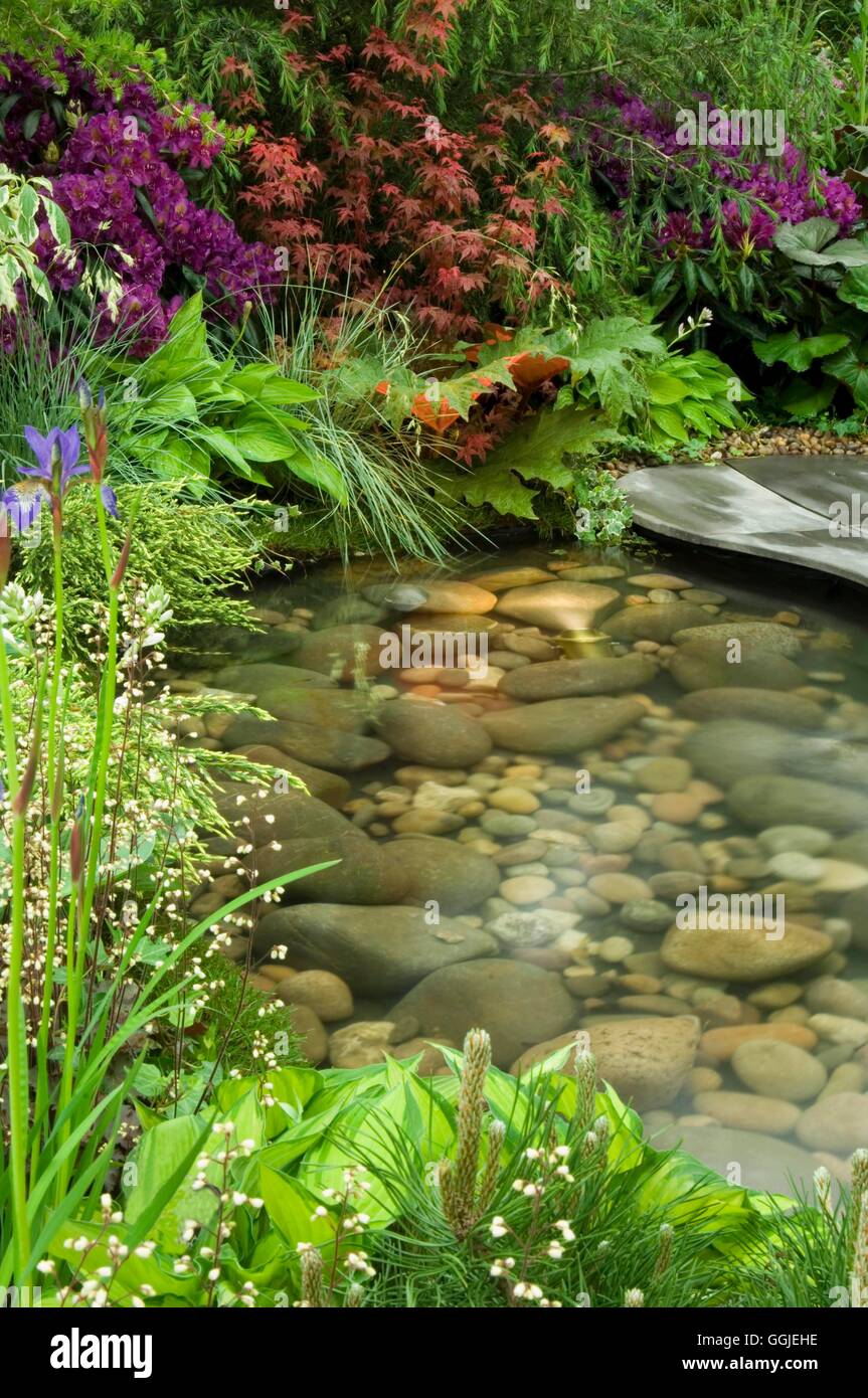 Pool   MIW251406 Stock Photo