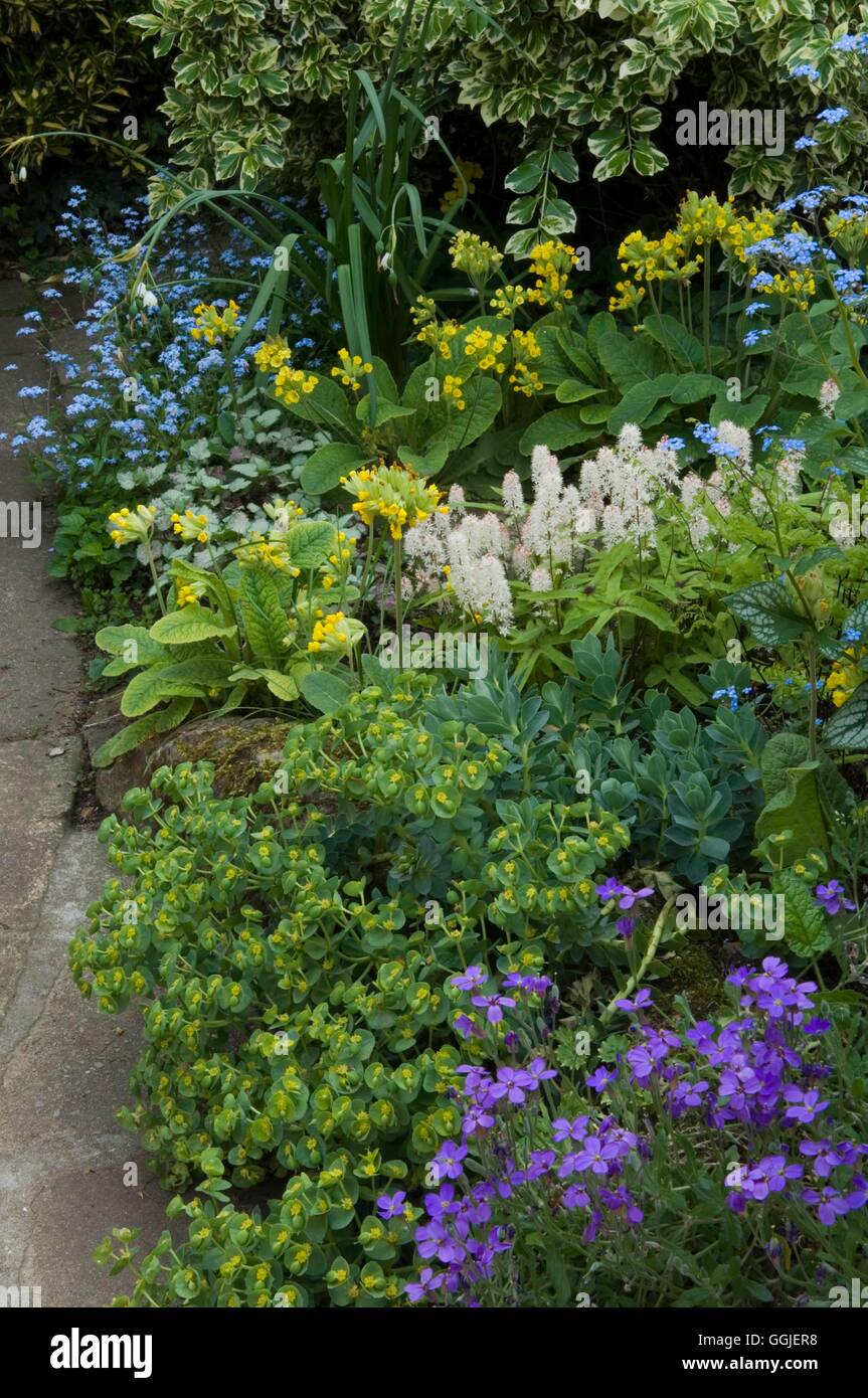 Shade Garden   MIW251515 Stock Photo