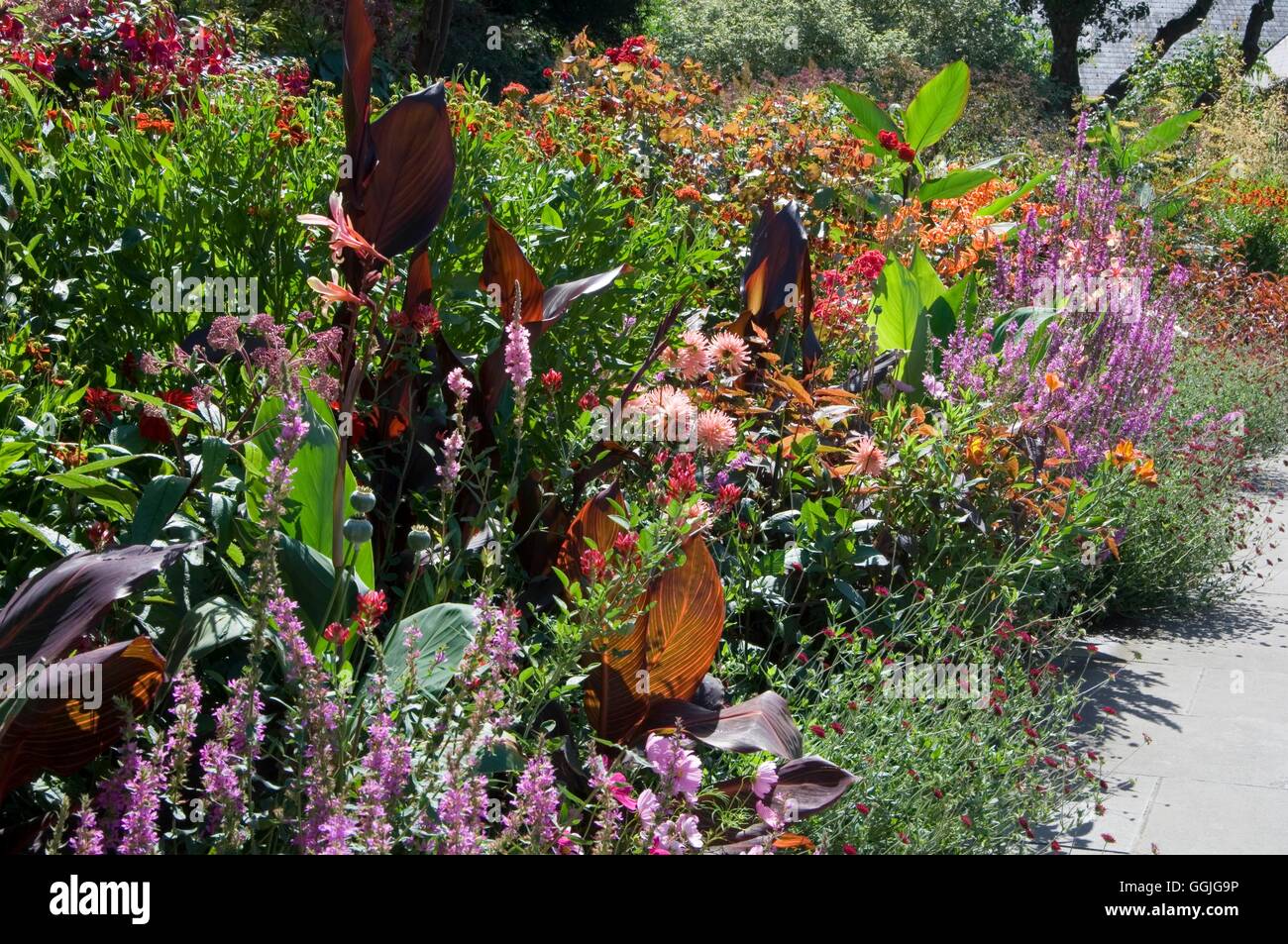 Helen Dillon's Garden Dublin (Please credit Photos Hort/Helen