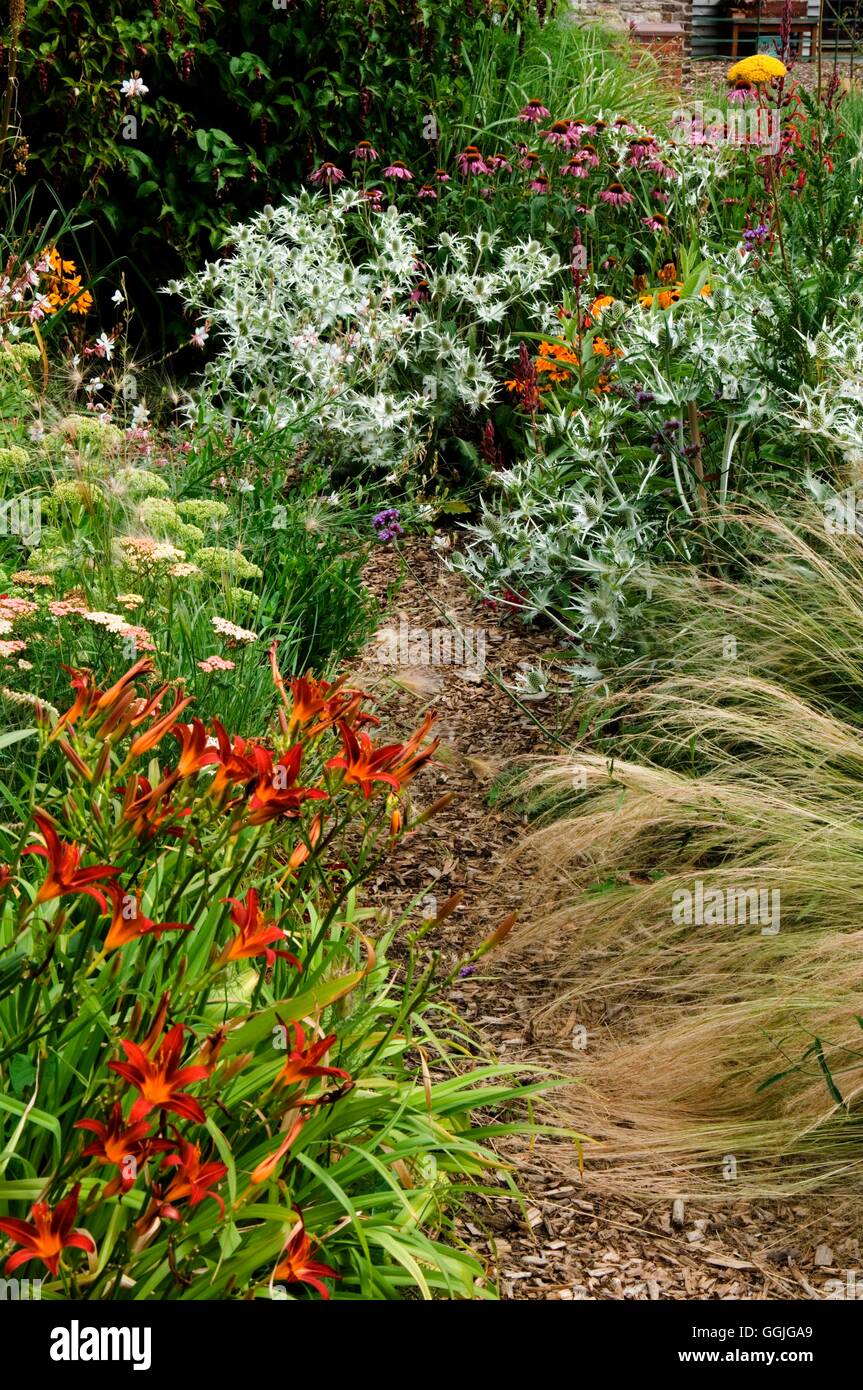 Herbaceous border path hi-res stock photography and images - Alamy