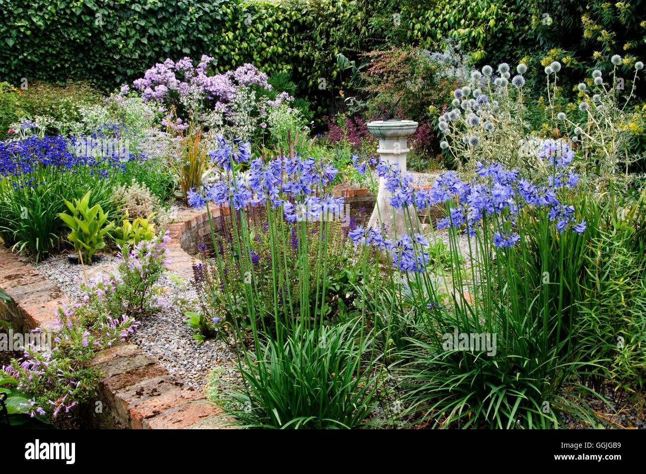 Helen Dillon's Garden Dublin Please credit Photos Hort/Helen Dillon