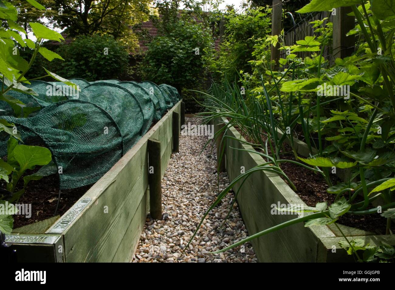 Gravel garden path hires stock photography and images Alamy
