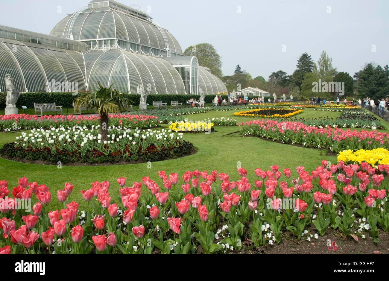 RBG Kew- - Spring Bedding in front of The Palm House- - Please credit location   MIW253161     Photo Stock Photo