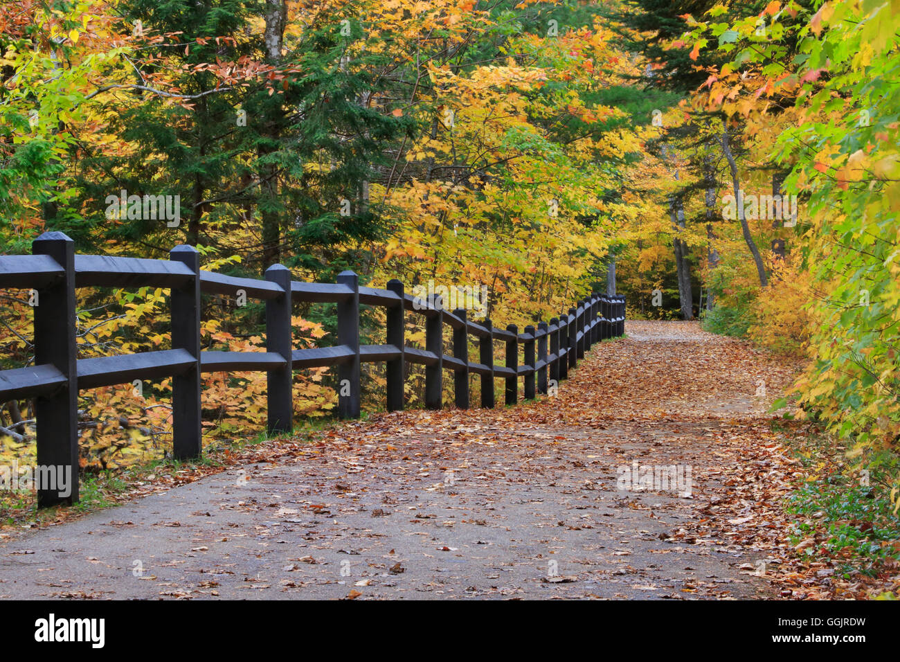 A fence and colorful tree lined path in autumn leading down to the falls, Tahquamenon Falls Michigan, Upper Peninsula, USA Stock Photo