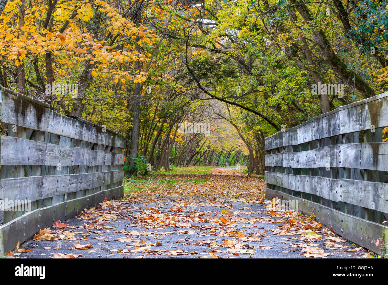 A bike path bridge on the Little Miami Scenic River Trail richly adorned in the colors of autumn, Southwestern Ohio, USA Stock Photo