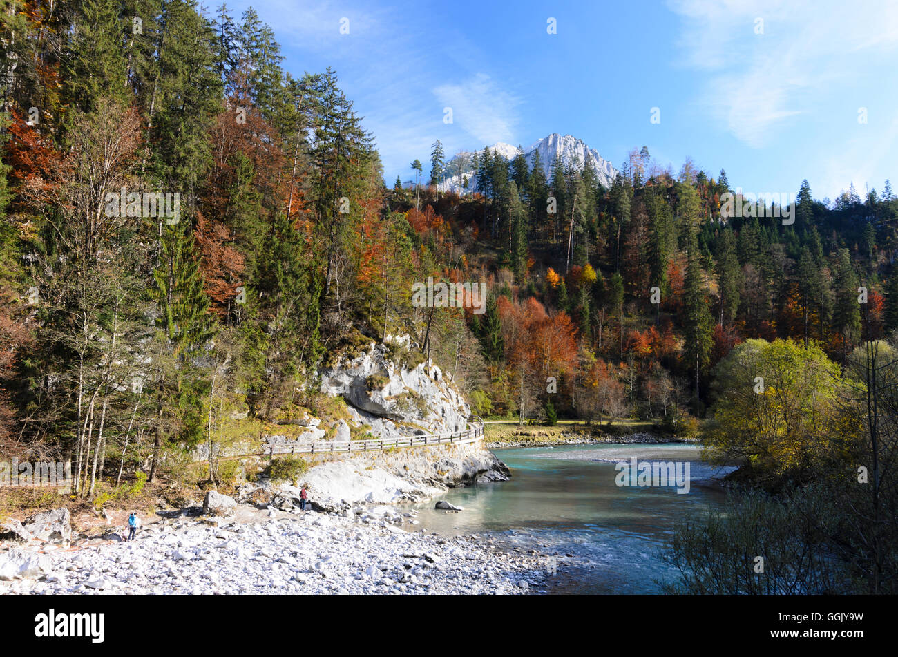 Unken: valley Saalachtal at Reit, Austria, Salzburg, Pinzgau Stock Photo