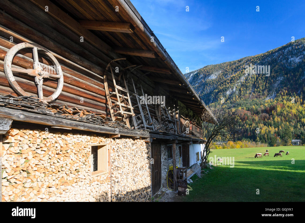 Unken: local museum Kalchofengut, Austria, Salzburg, Pinzgau Stock Photo