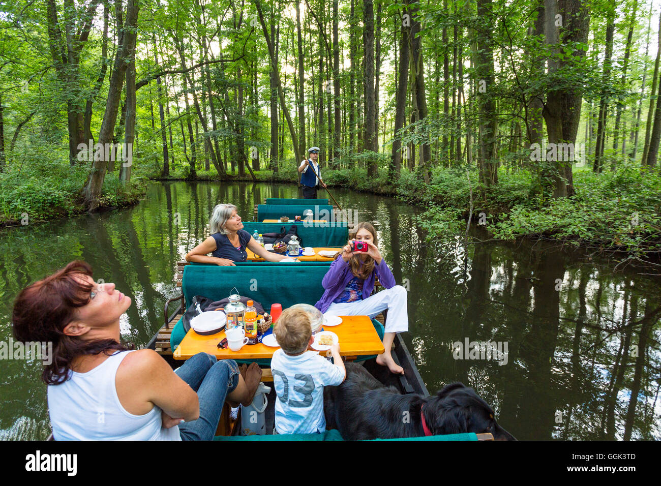 boat tour through Spreewald, UNESCO biosphere reserve, Luebbenau, Brandenburg, Germany, Europe Stock Photo