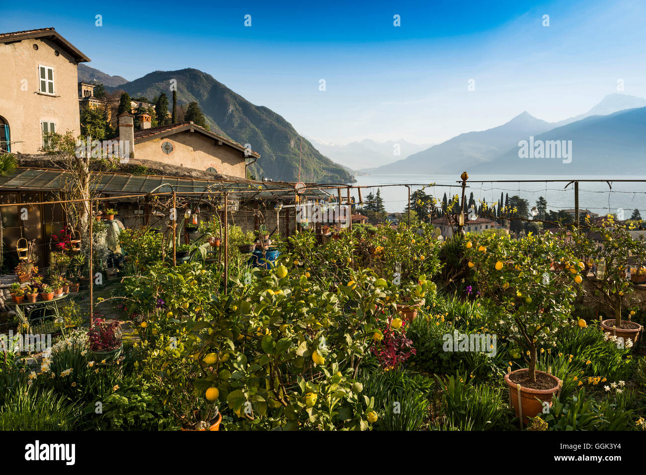 Menaggio at Lake Como, Lago di Como, Province of Como, Lombardy, Italy Stock Photo