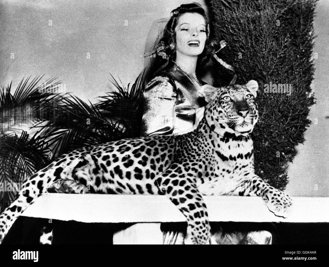 LEOPARDEN KÜSST MAN NICHT Bringing up Baby USA 1938 - Howard Hawks KATHARINE HEPBURN als Susan Vance mit Leopard 'Baby', in 'Leoparden küßt man nicht', 1938. Regie: Howard Hawks Stock Photo