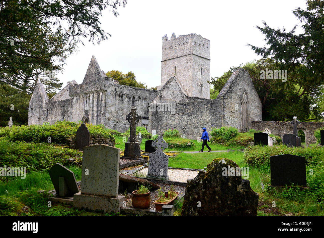 Mukross Abbey ruins at Lough Leane near Killarney, Ireland Stock Photo