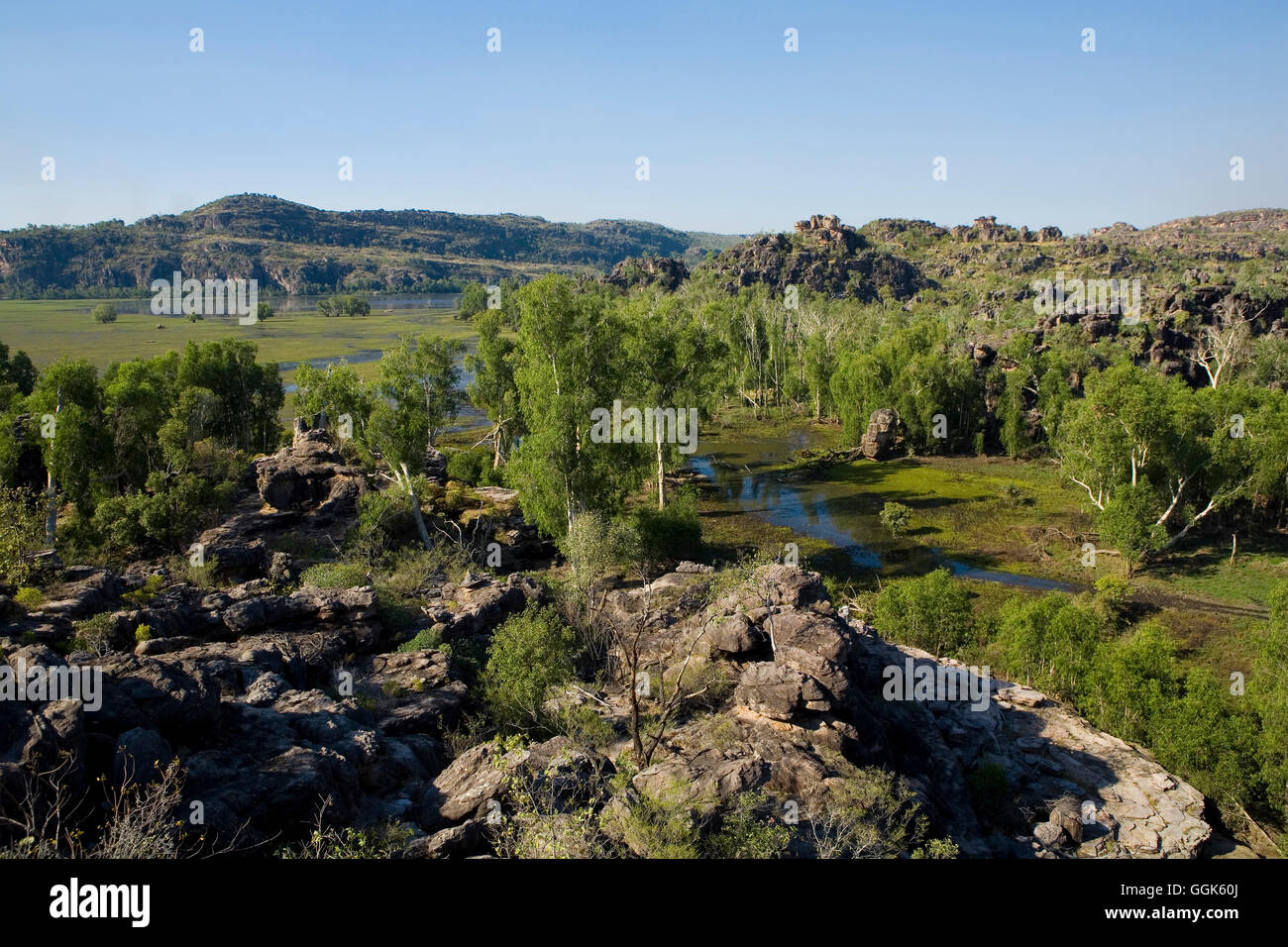 View of floodlands from a view point in Arnhem Land, a country belonging to aboriginal people, Arnhem Land, Northern Territory, Stock Photo