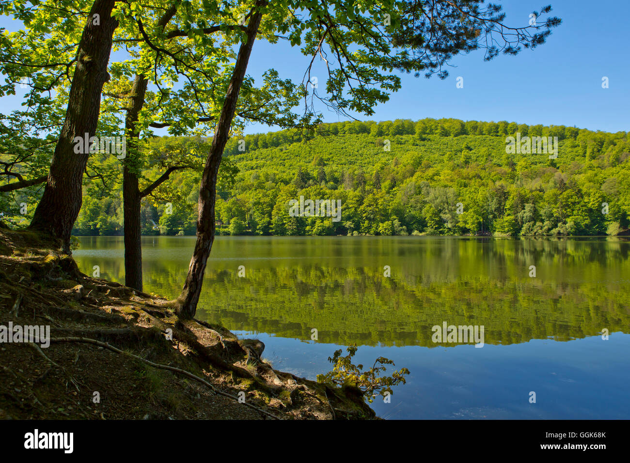 Springtime at Lake Edersee: Reflection of trees and forest in the lake in Kellerwald-Edersee National Park, Asel Süd, Lake Eders Stock Photo