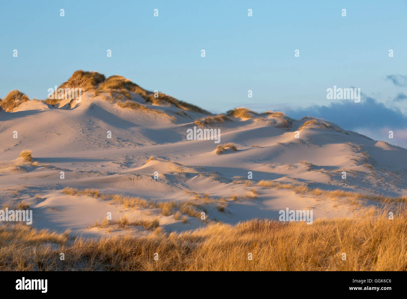 Dunes on a sunny Winter's day, Amrum island, Schleswig-Holstein, Germany, Europe Stock Photo