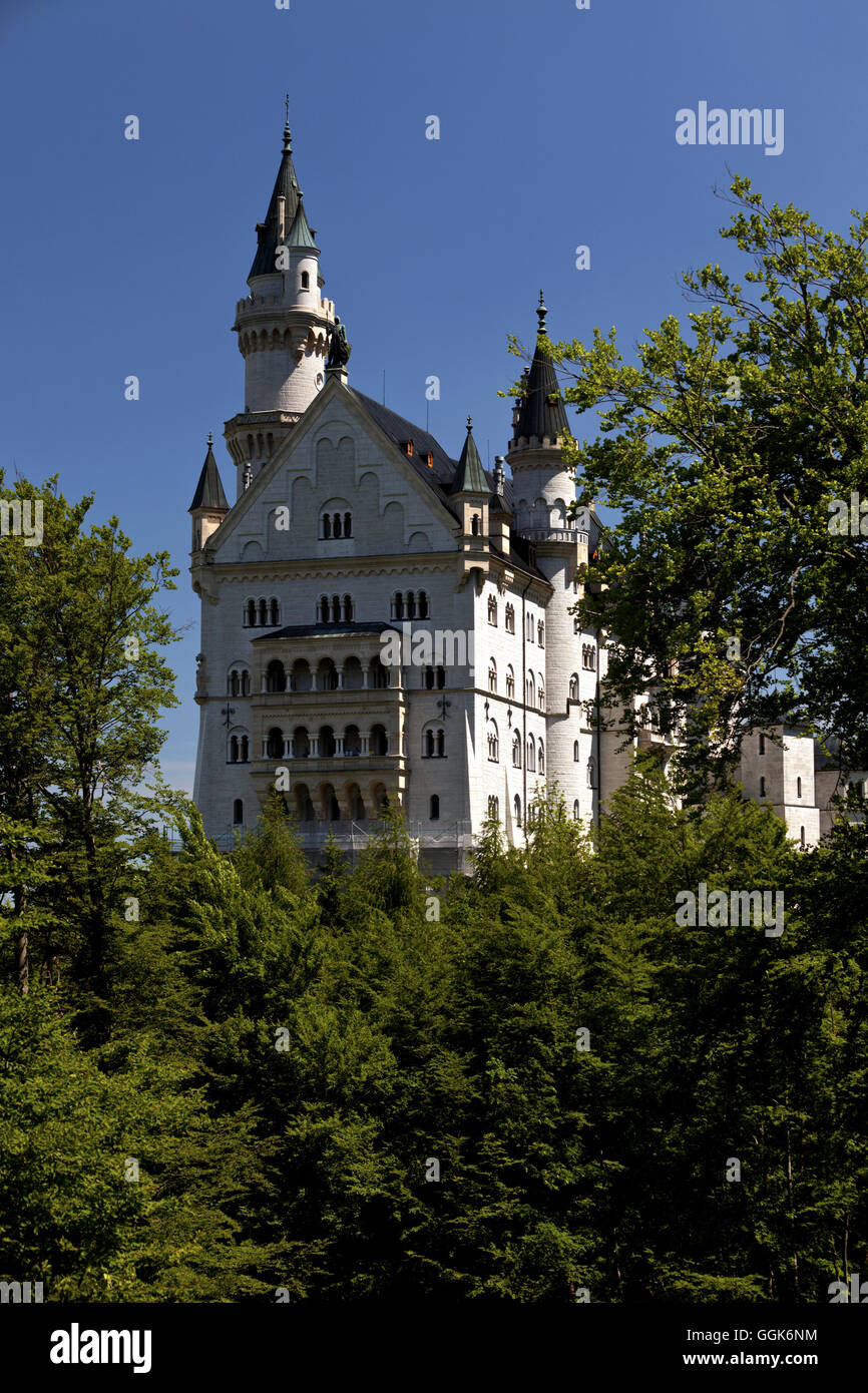 Neuschwanstein castle, Hohenschwangau, Bavaria, Germany Stock Photo