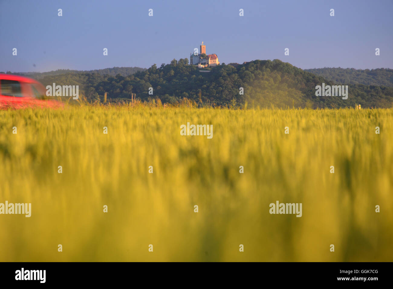Wartburg near Eisenach, Thuringian forest, Thuringia, Germany Stock Photo