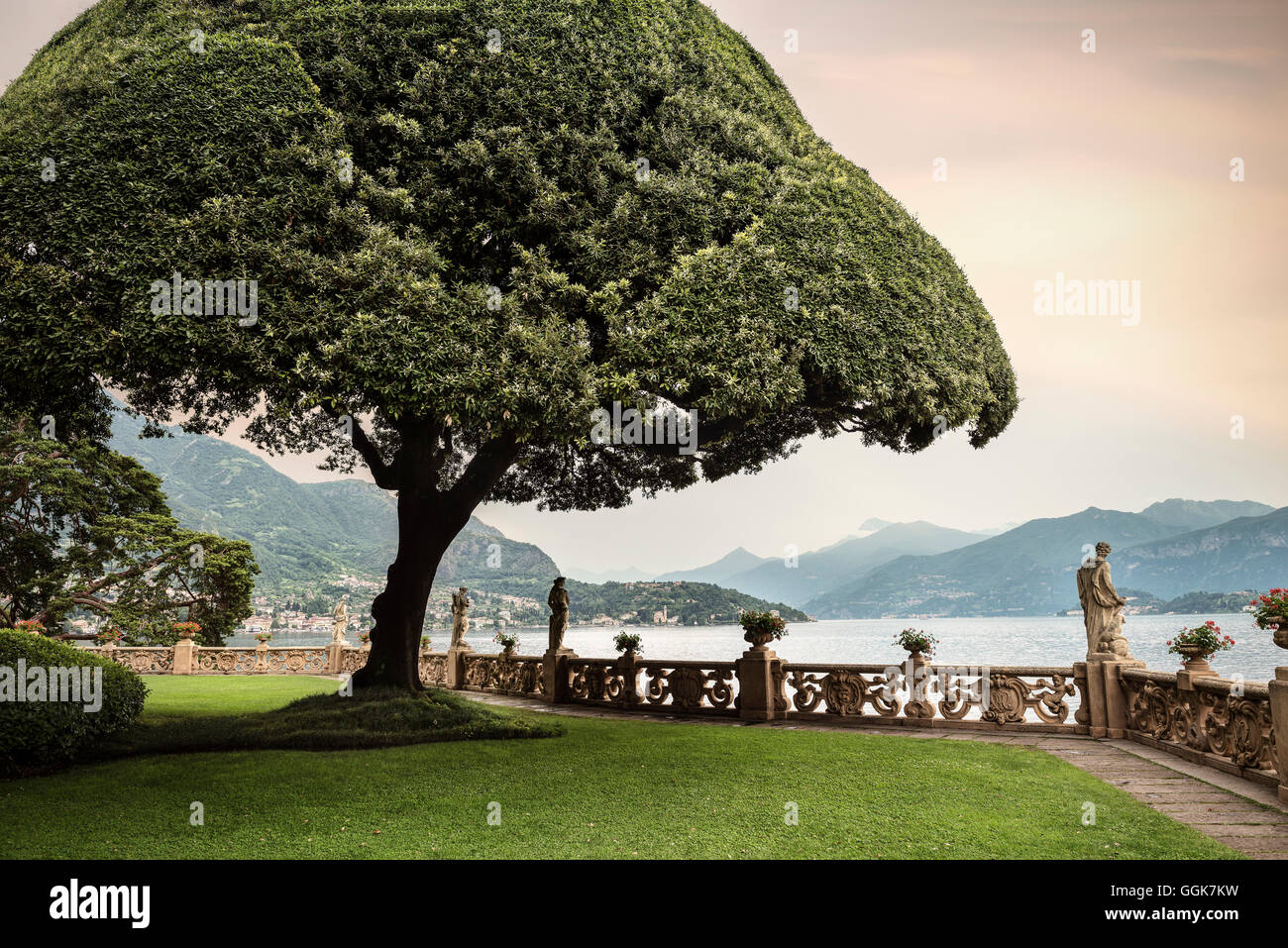 Garden with awesome tree in Villa del Balbianello, Lenno, Lake Como, Lombardy, Italy, Europe Stock Photo