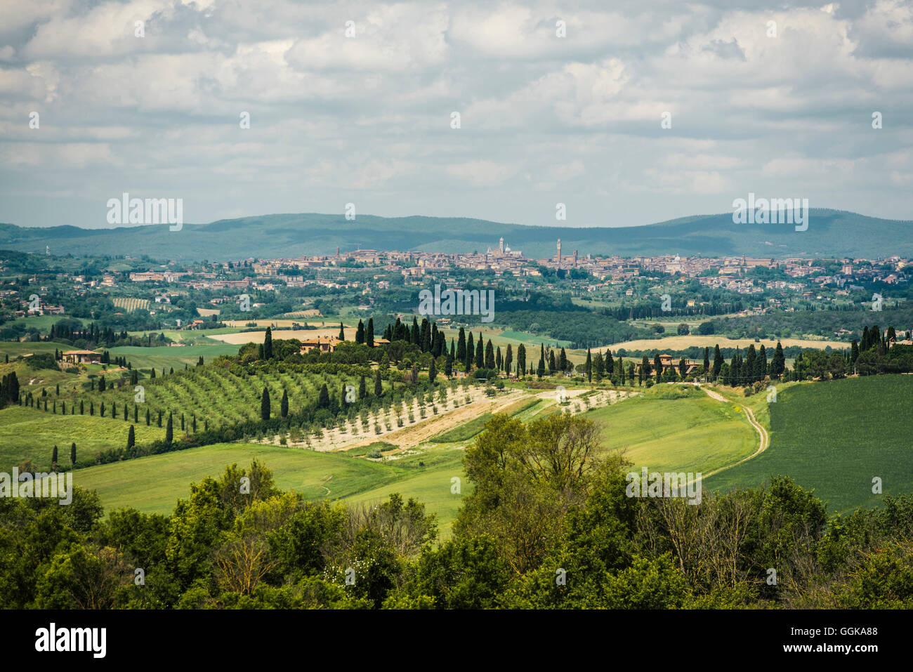 Landscape near Crete Senesi, near Siena, Tuscany, Italy Stock Photo