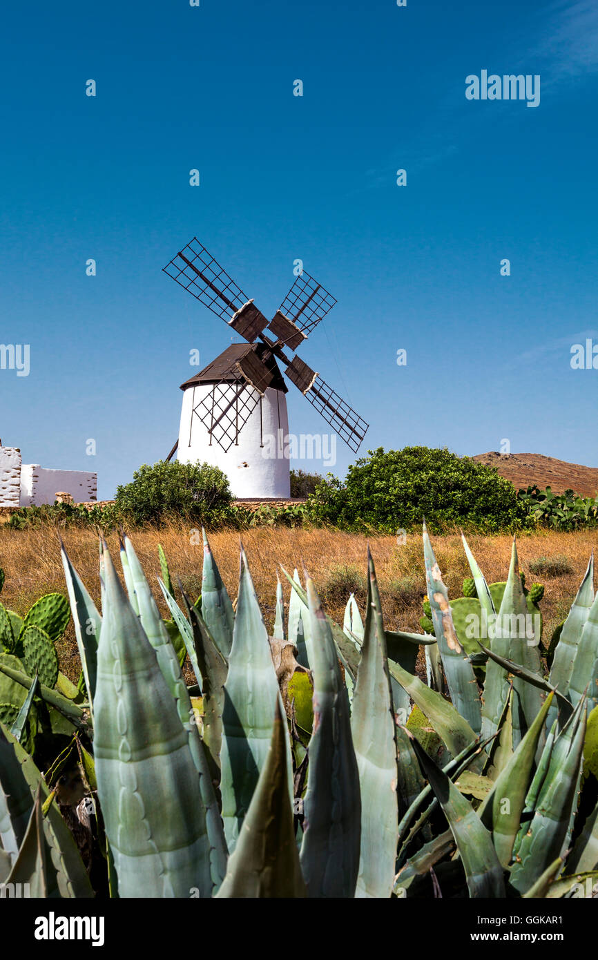 Windmill, museum Centro de Interpretacion de los Molinas, Antigua, Fuerteventura, Canary Islands, Spain Stock Photo