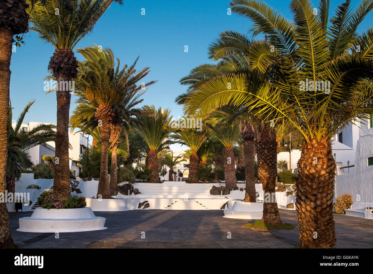 Square with Palm trees, San Bartolome, Lanzarote, Canary Islands, Spain Stock Photo