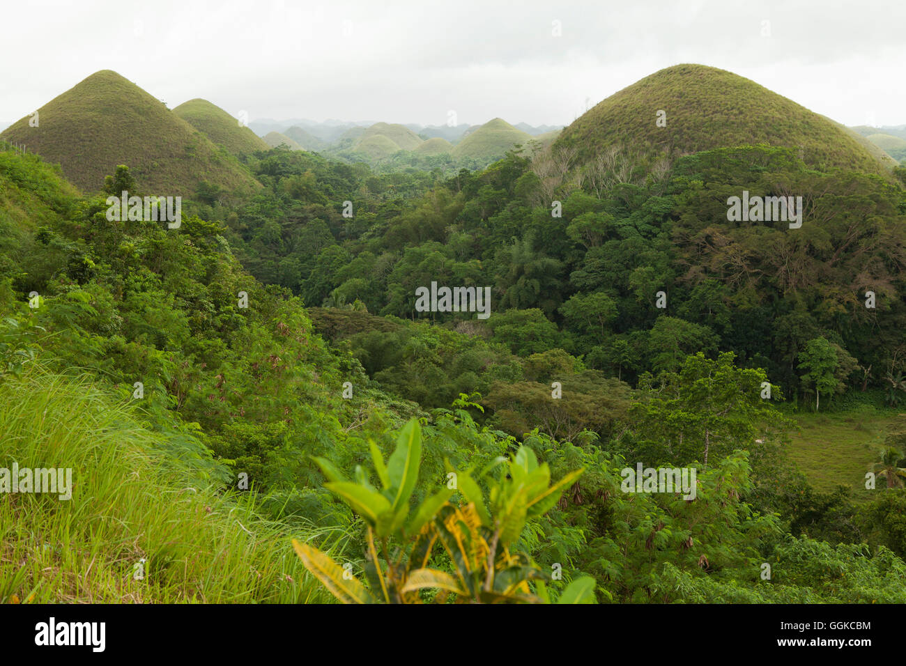 Chocolate Hills, Bohol Island, Visayas-Islands, Philippines, Asia Stock Photo