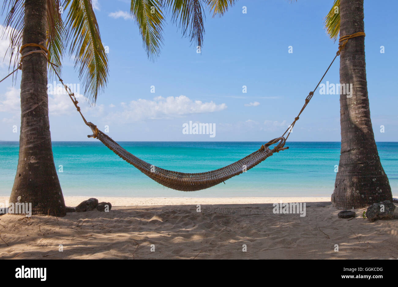 Palm tree hammock beach scene hires stock photography and images Alamy