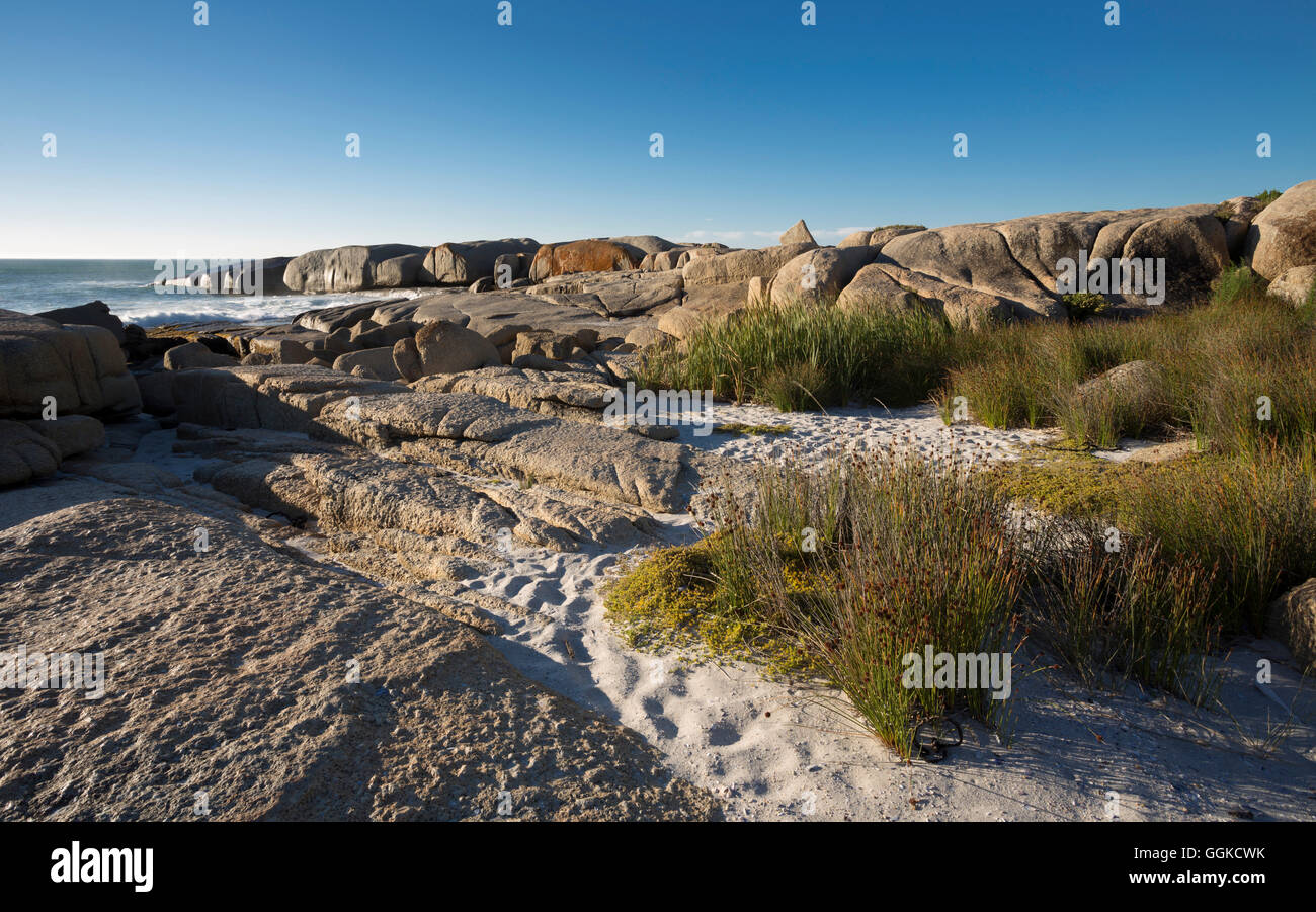 Sandy Bay, Atlantic Cape town, Western cape, South Africa Stock Photo