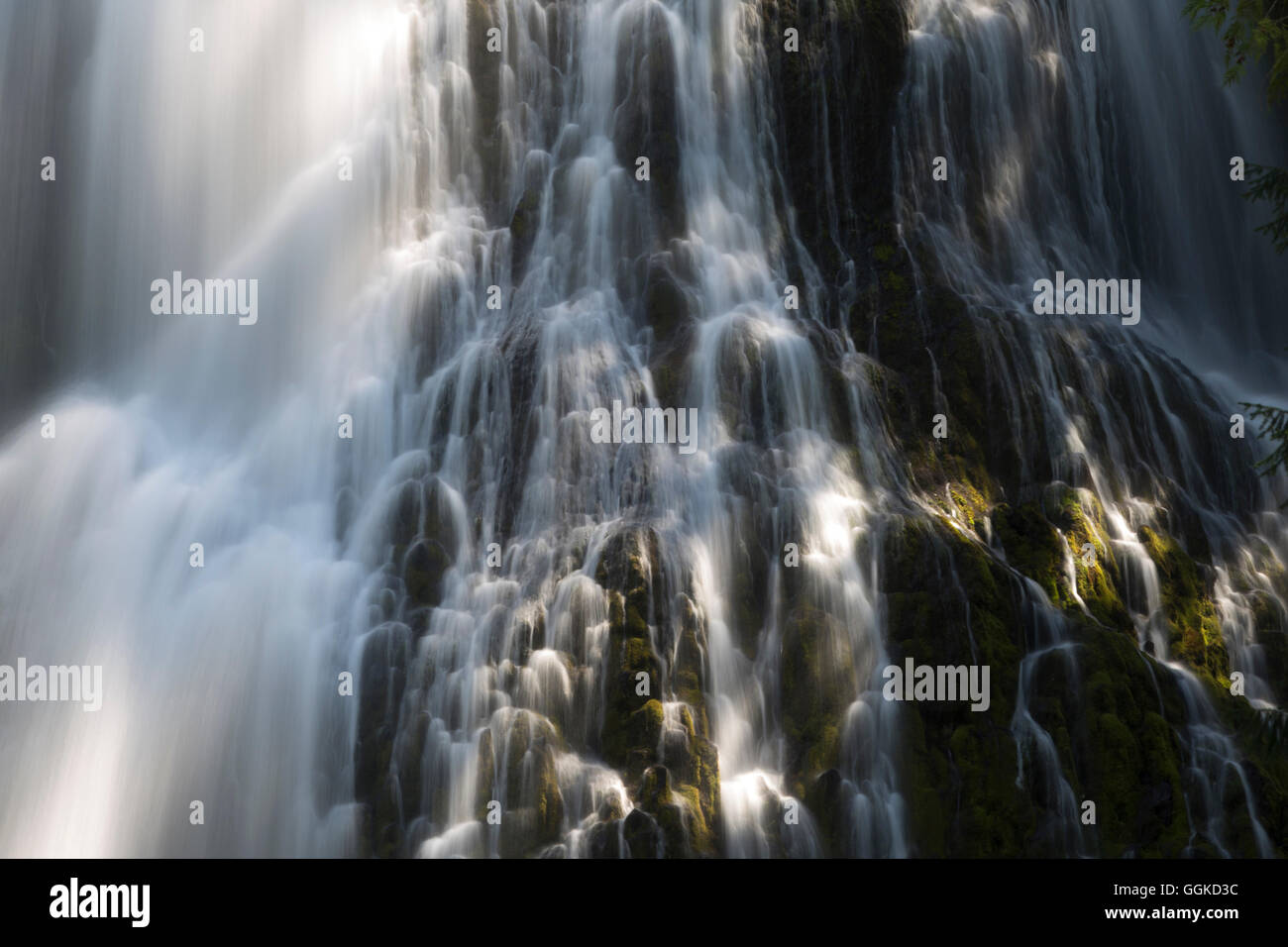 Waterfall in the Willamette National Forest, Three Sisters Wilderness, Oregon, USA Stock Photo
